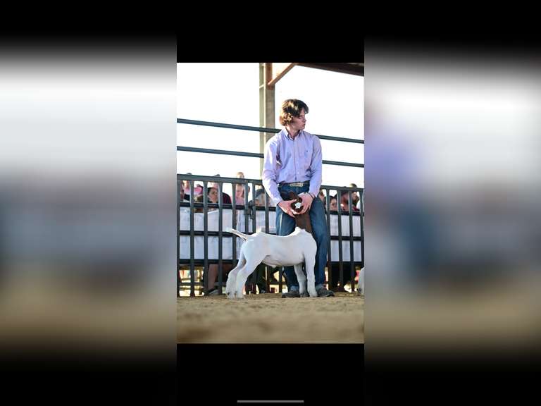 Aiden McCully James Madison FFA