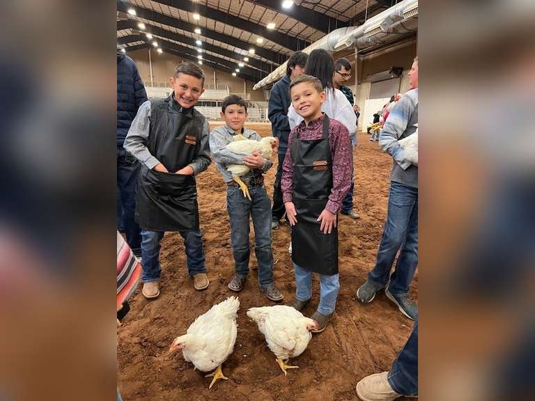 Henry  Garlick  Midland County 4H Club