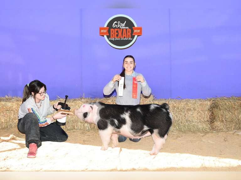 Aubry Donato James Madison FFA