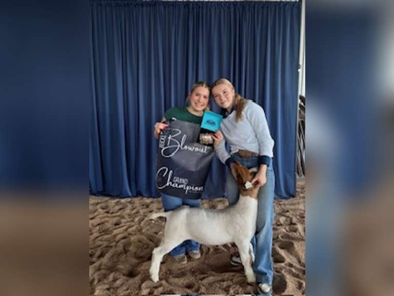 Bailey Gafke James Madison FFA