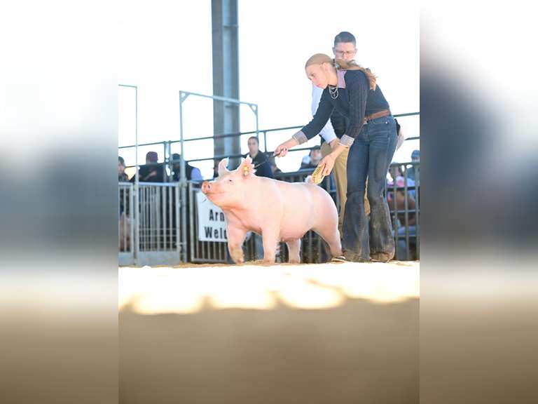 Maddie Koscielski James Madison FFA