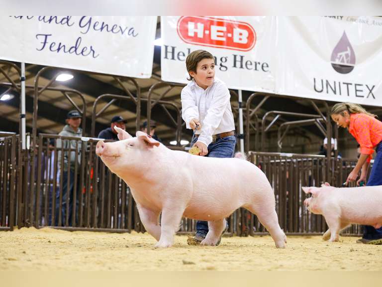 Dax   Feldt   MHS Jr. FFA