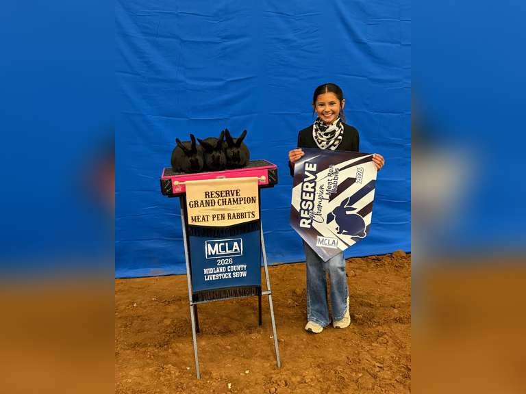 Saylor  Gonzales  Midland County 4-H