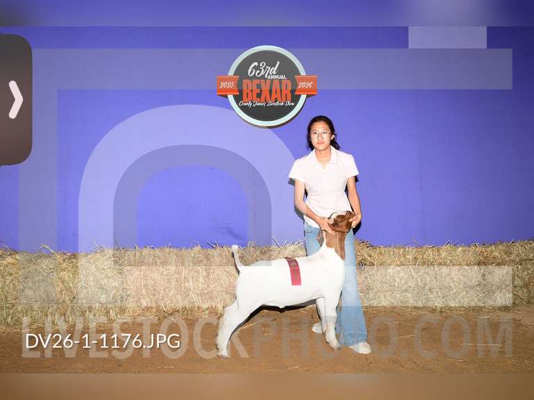 Anna Royal James Madison FFA
