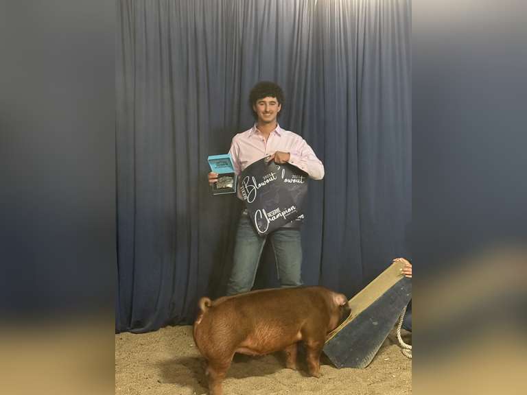 Wyatt Dittrich James Madison