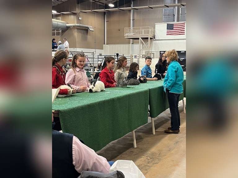 Kenley  Garlick  Midland County 4H Club