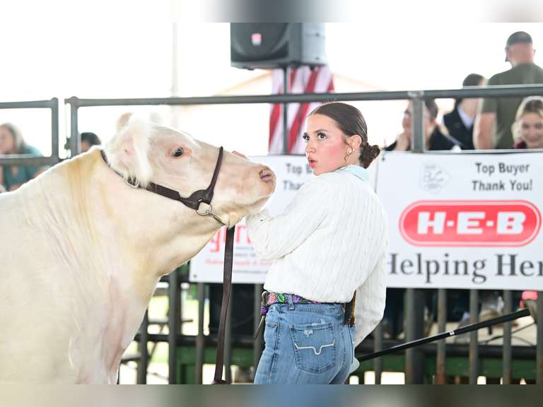 Abigail Arce James Madison FFA