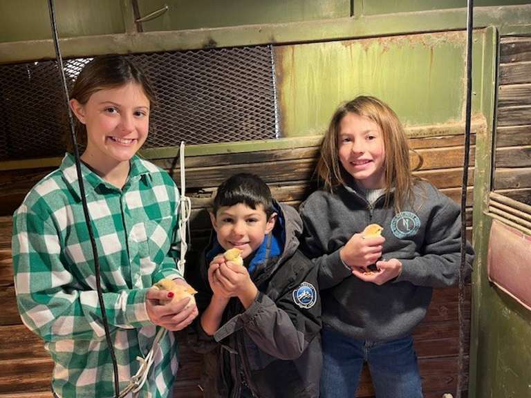 Avery Mae  Garlick  Midland County 4H Club