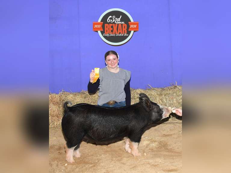 Laney Embleton James Madison FFA