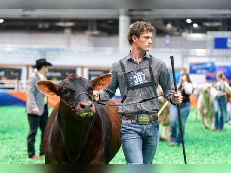 Kasen  Brooks  Midland County 4H