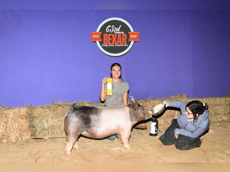 Madison Diego James Madison FFA