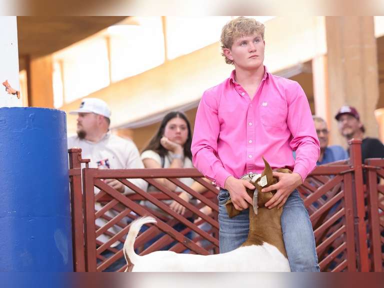 Mason  Lee  Midland 4H