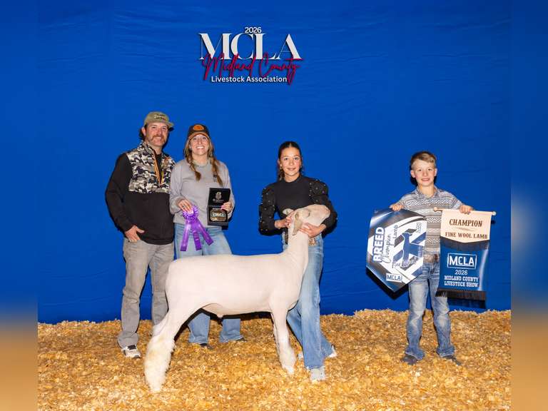 Addy  Cook  Midland 4H