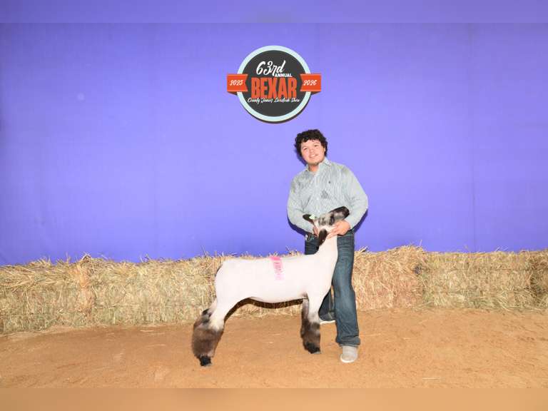 Brandon Cirilo James Madison FFA