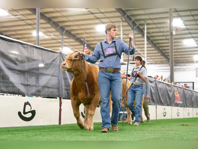 Jaxon  Brooks  Midland County 4H