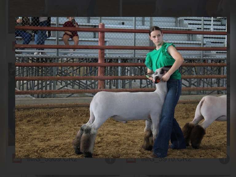 Jaycee Bond Bond Vidor FFA