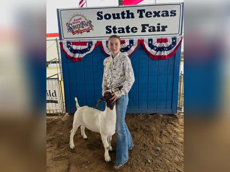 Maci Ebbecke Hardin Jefferson FFA