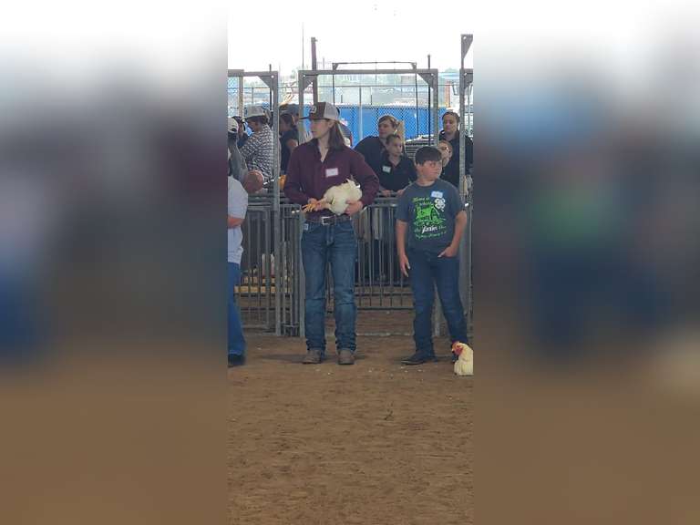 Jeffrey Calhoon Colmesneil FFA
