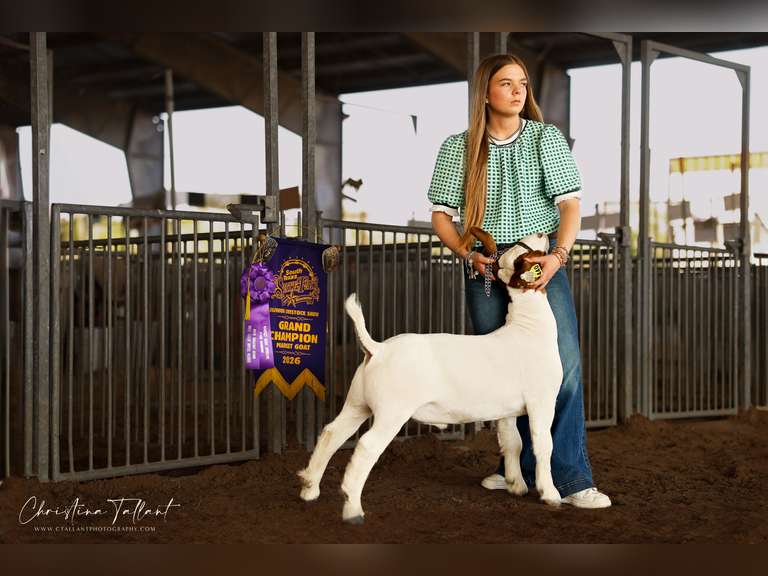 Sarah Langston Silsbee FFA
