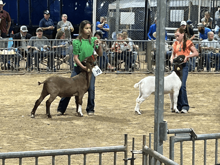 Malia Hall North China 4H