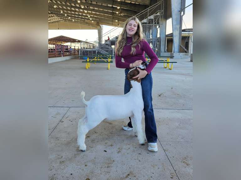 Kyleigh Swearingen Hardin County 4-H