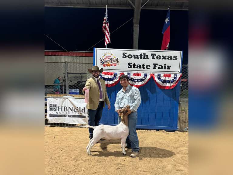 Jude Cardenas Nederland FFA