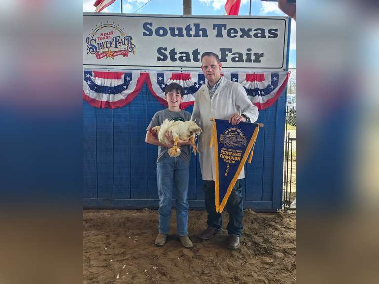 Colton Hurlburt Mighty Pirates 4H