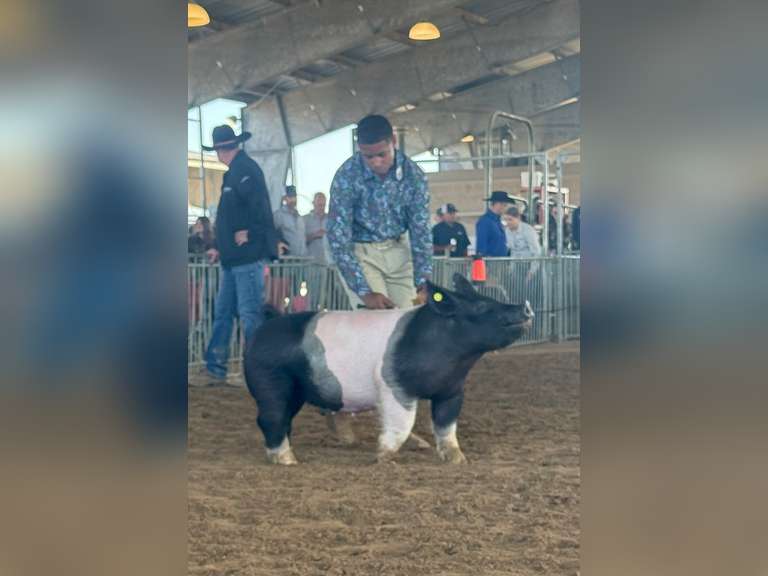 Jake Houston East Chambers FFA