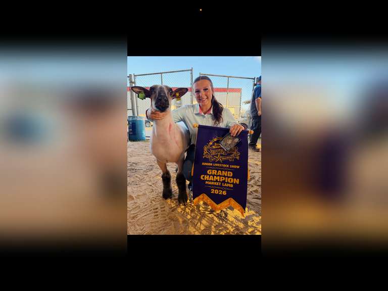 Madelyn Smith Hardin Jefferson FFA