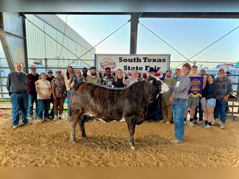 Alexander Gorsich Beaumont FFA