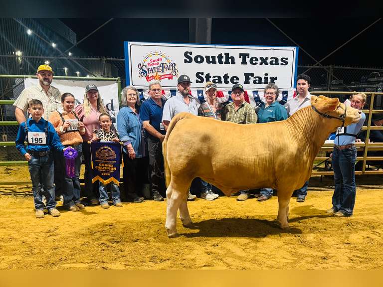 Blaine Metteauer Hamshire-Fannett 4H