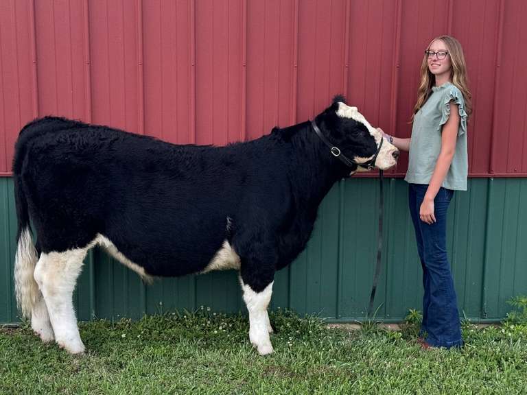 Jayden Clark The Beef Club