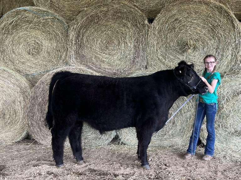 Claire Henry The Beef Club