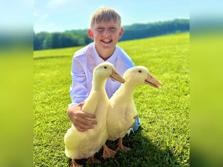 Kaiden Oyer East Township Young Producers