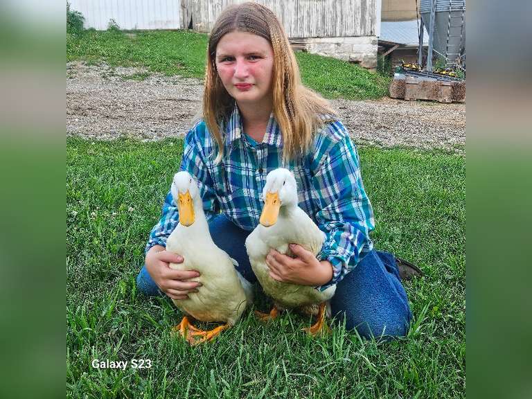 Jennessa Hart Crazy 4 Critters