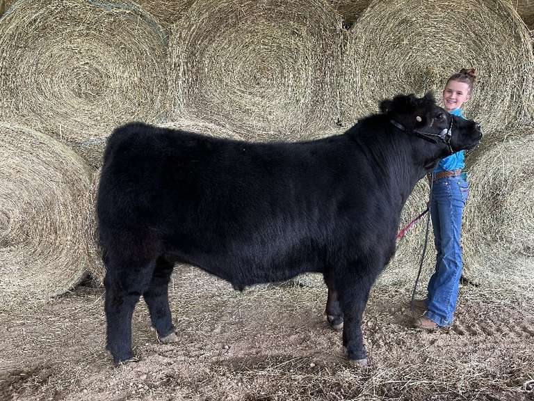 Lydia Henry The Beef Club