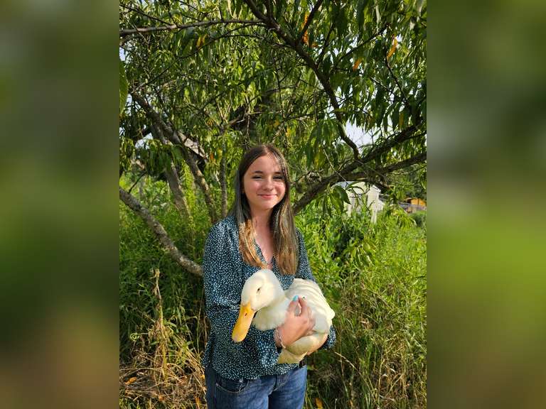 Karissa Critchfield Crazy 4 Critters