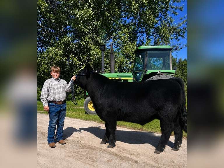 Nolan Gartrell Conotton Valley Clovers
