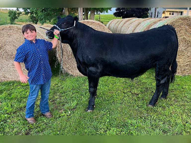 Owen Kampfer East Township Young Producers