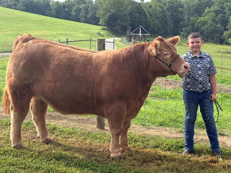 Connor Simmons The Beef Club