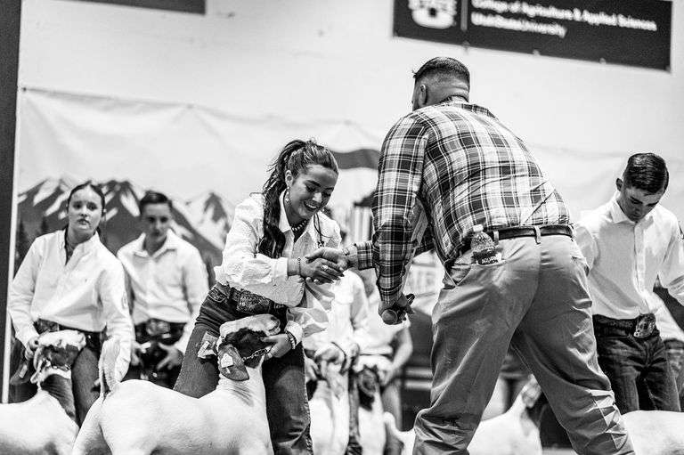 Taygan  Johnson  West Mountain 4H