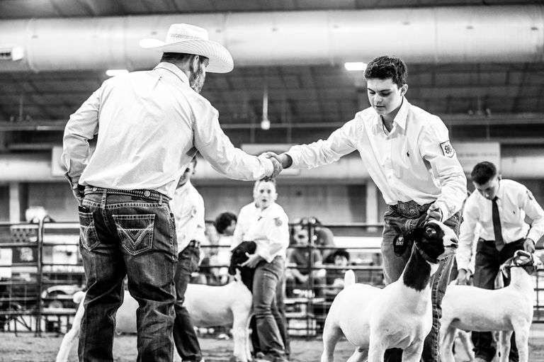 Baylor  Johnson  West Mountain 4H