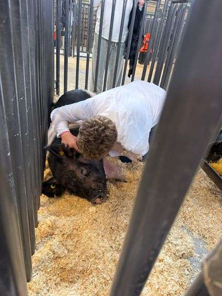 Ryker  Kendrick  Bear River FFA