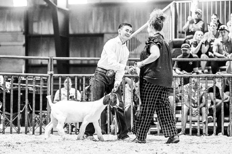 Walker  Hiatt  Emery County 4H