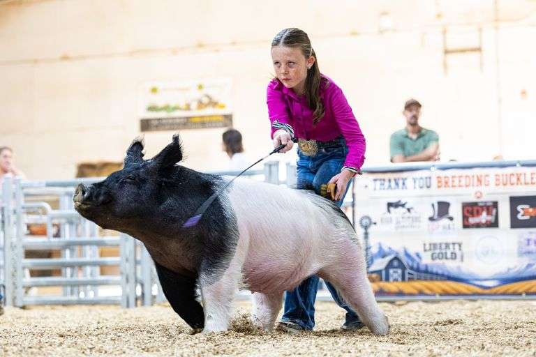 Josie   Pehrson   Duchesne Co Livestock