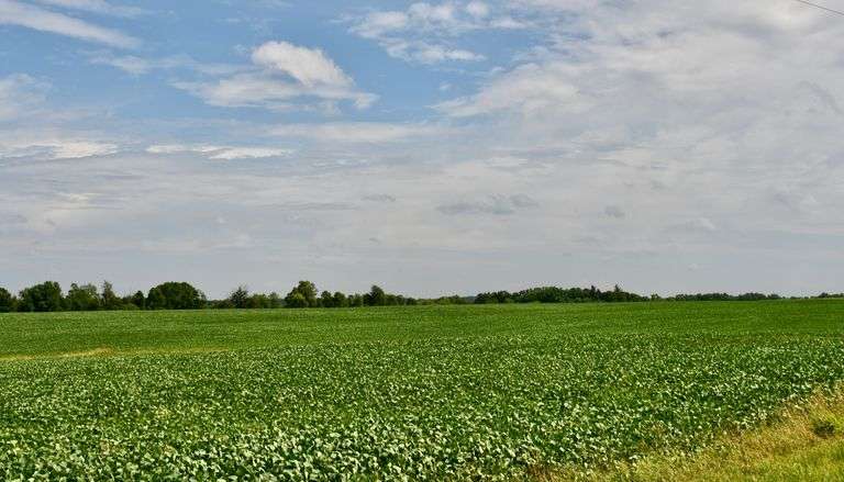 Real Estate Auction, Nyle Weiler Estate, Tuesday Evening, September 23, 2025 at 6:00 PM