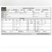 Thumbnail image of Water Report - 69440 South River Road White Pigeon Michigan 49099[26].pdf