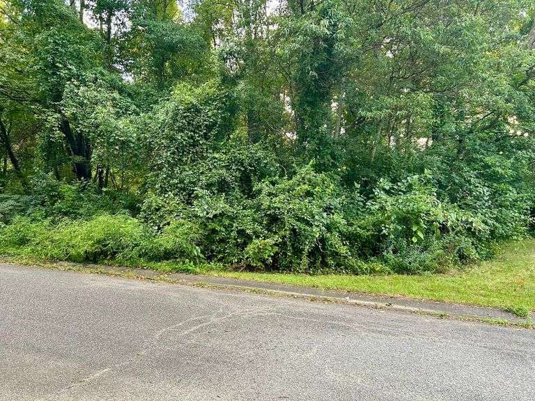 Parcel #1: .51 ± Acres