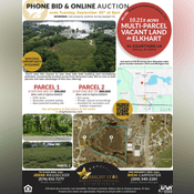 Thumbnail image of flyer.png