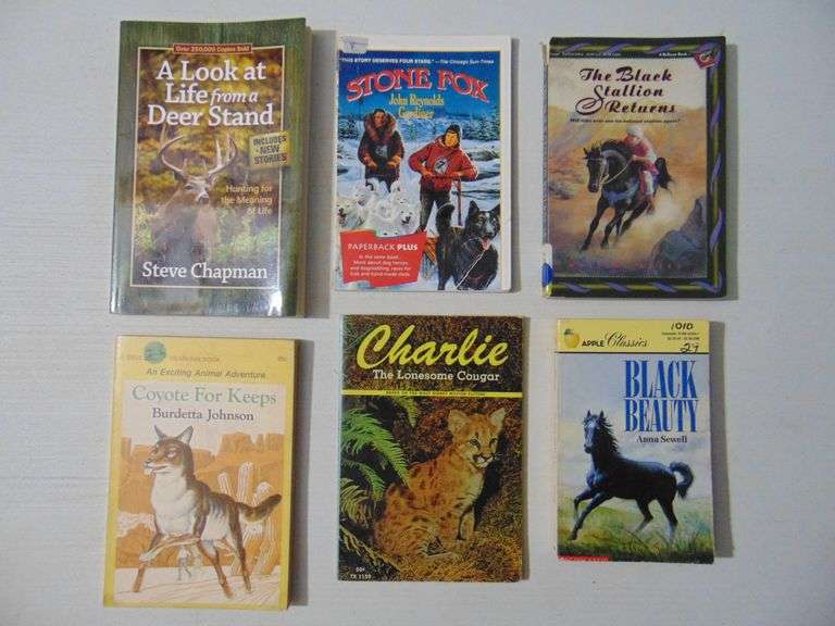 Lot Of Children's Books
